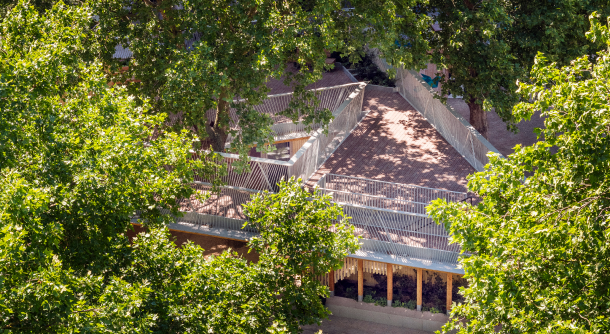 Sustainability Image