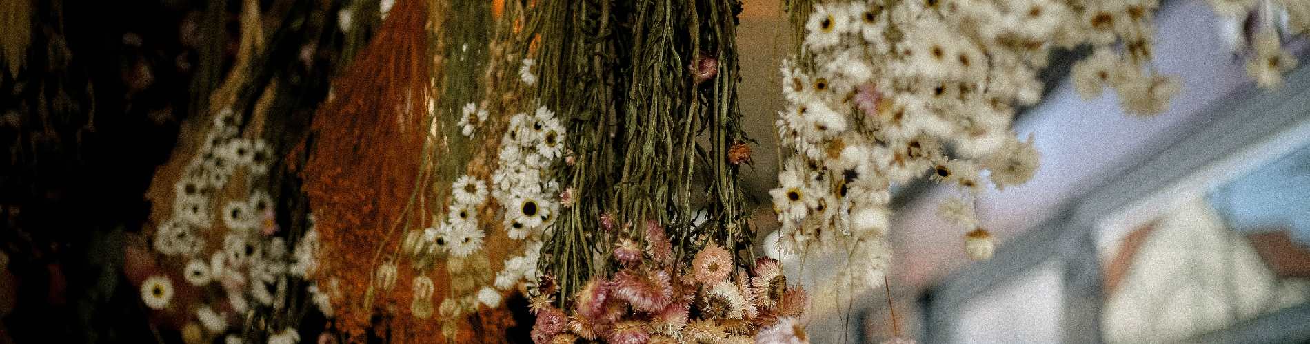 Shambles market 1900x500.jpg