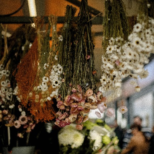 Shambles market 500x500.jpg