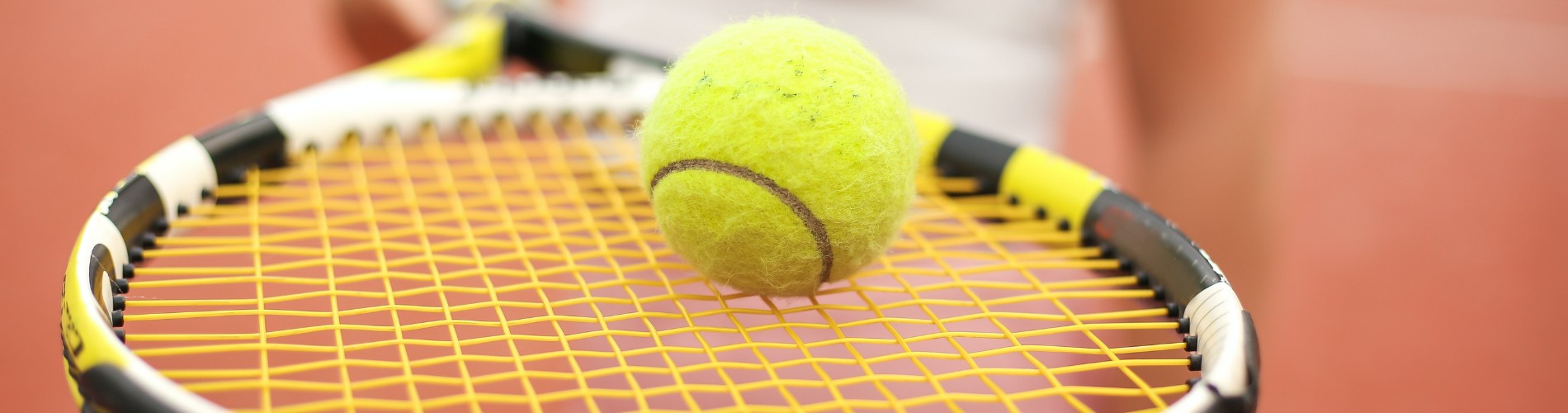 A tennis ball balancing on a racquet