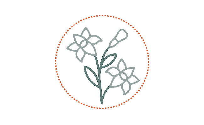 green spaces 650x400.png