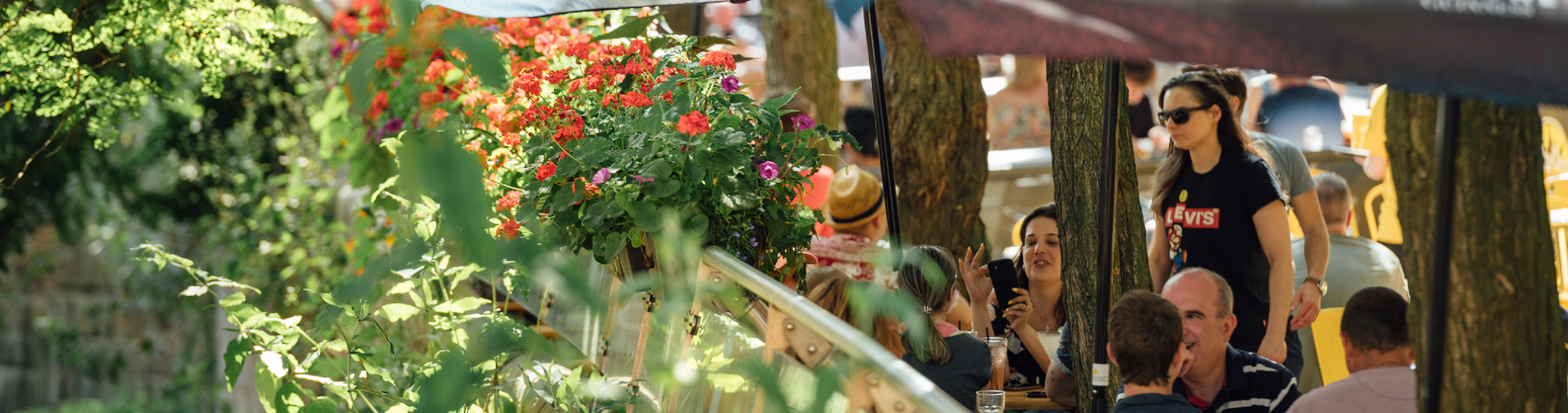 People enjoying a drink outdoors surrounded by foliage in Manchester